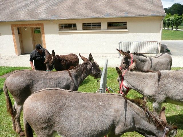 Le Parc 19 juillet 2012 (2).jpg